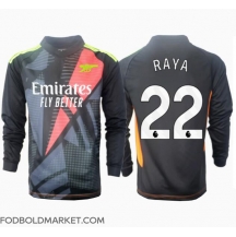 Arsenal David Raya #22 Målmand Tredjetrøje 2024-25 Langærmet