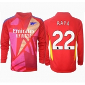Arsenal David Raya #22 Målmand Udebanetrøje 2024-25 Langærmet