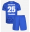 Bayer Leverkusen Exequiel Palacios #25 Tredjetrøje Børn 2025-26 Kortærmet (+ Korte bukser)