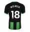Brighton Danny Welbeck #18 Tredjetrøje 2024-25 Kortærmet