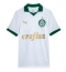 Palmeiras Estevao Willian #41 Udebanetrøje 2024-25 Kortærmet