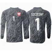 Polen Wojciech Szczesny #1 Målmand Udebanetrøje EM 2024 Langærmet