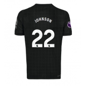 Tottenham Hotspur Brennan Johnson #22 Udebanetrøje 2025-26 Kortærmet